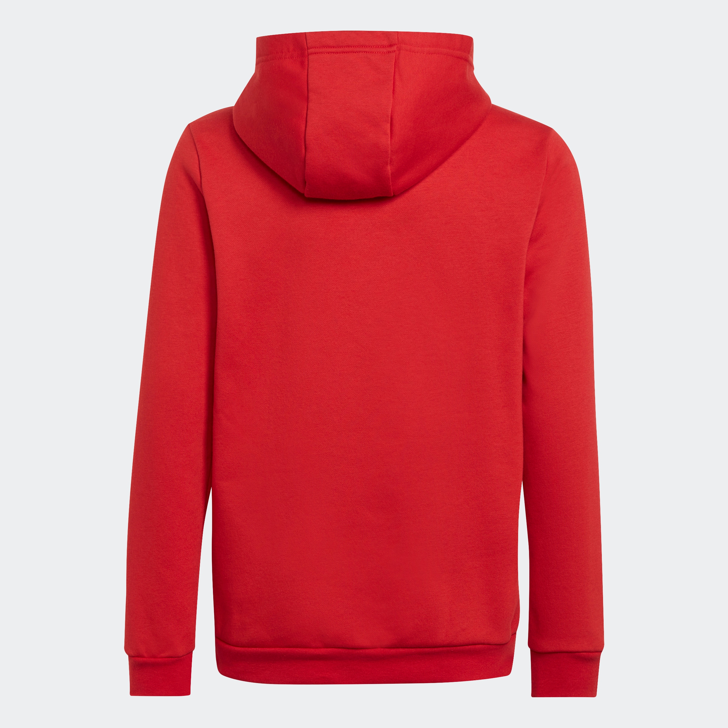 adidas Performance Kapuzensweatshirt »ENT22 HOODY Y«