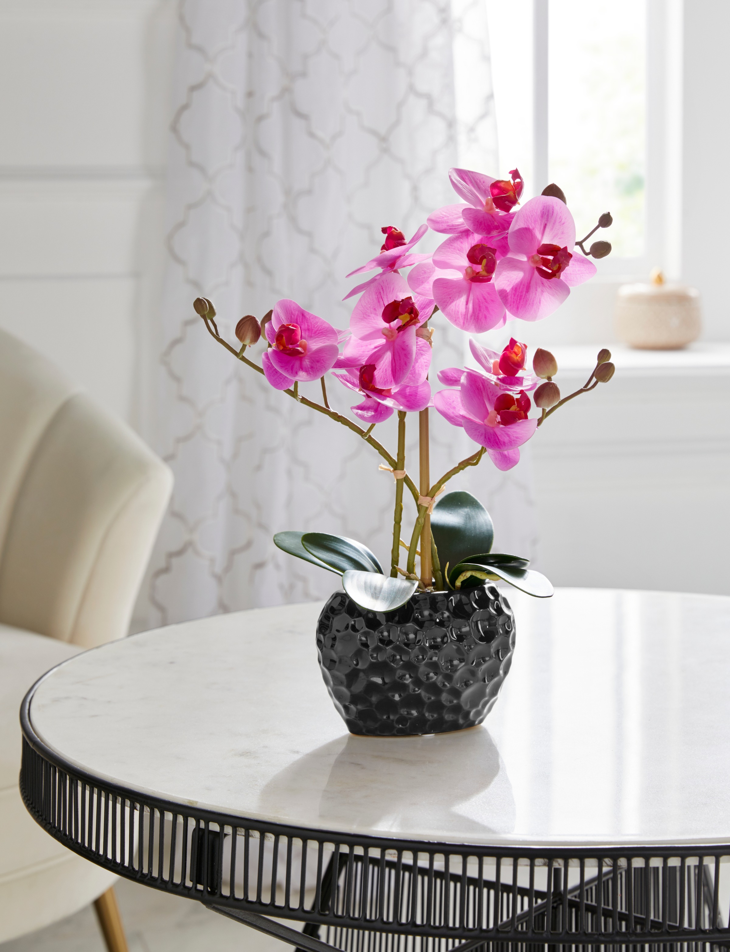Kunstorchidee, ❤ bestellen Shop Topf im Leonique »Orchidee«, Jelmoli-Online Kunstpflanze im