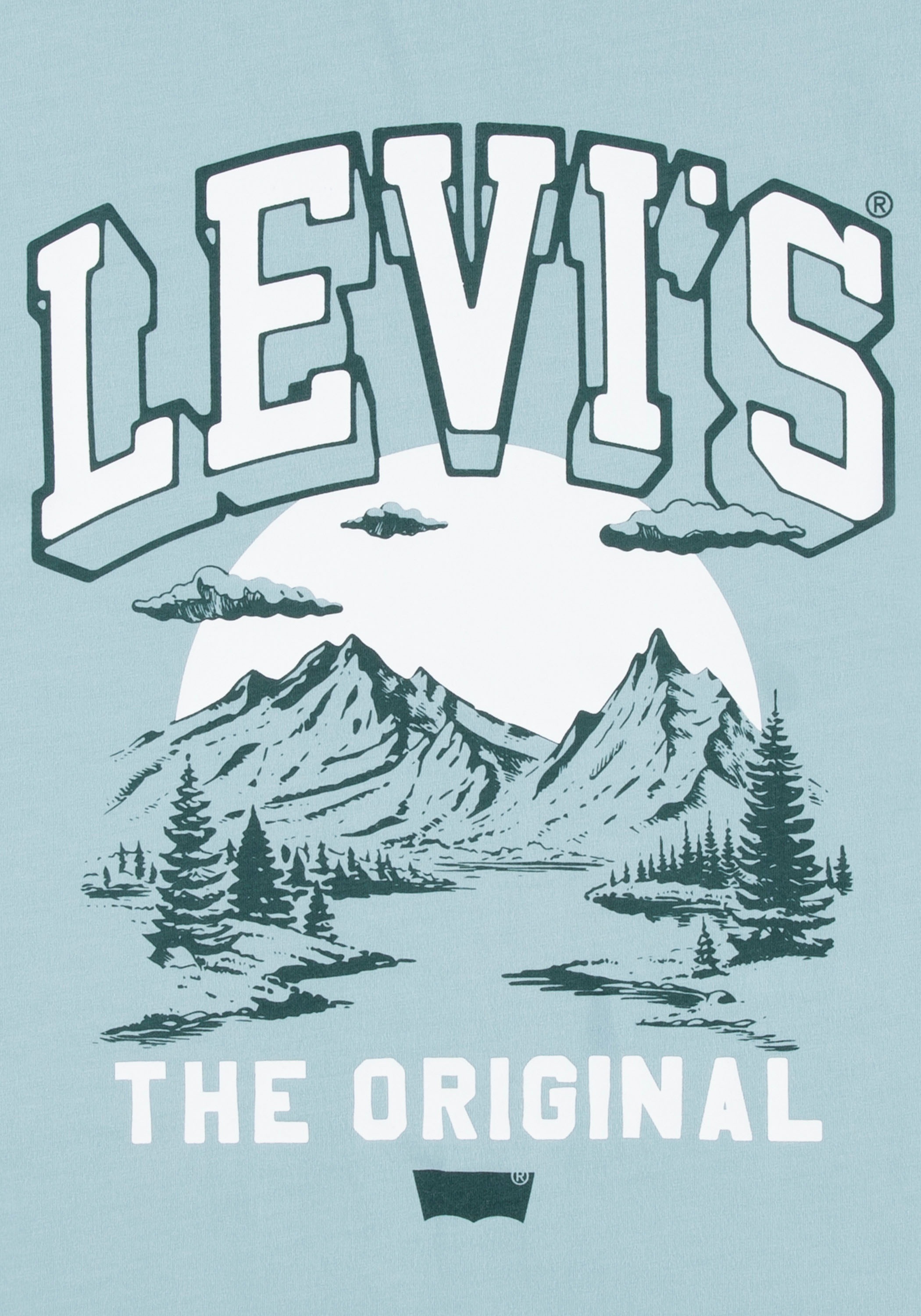 Levi's® Kids Print-Shirt, for BOYS
