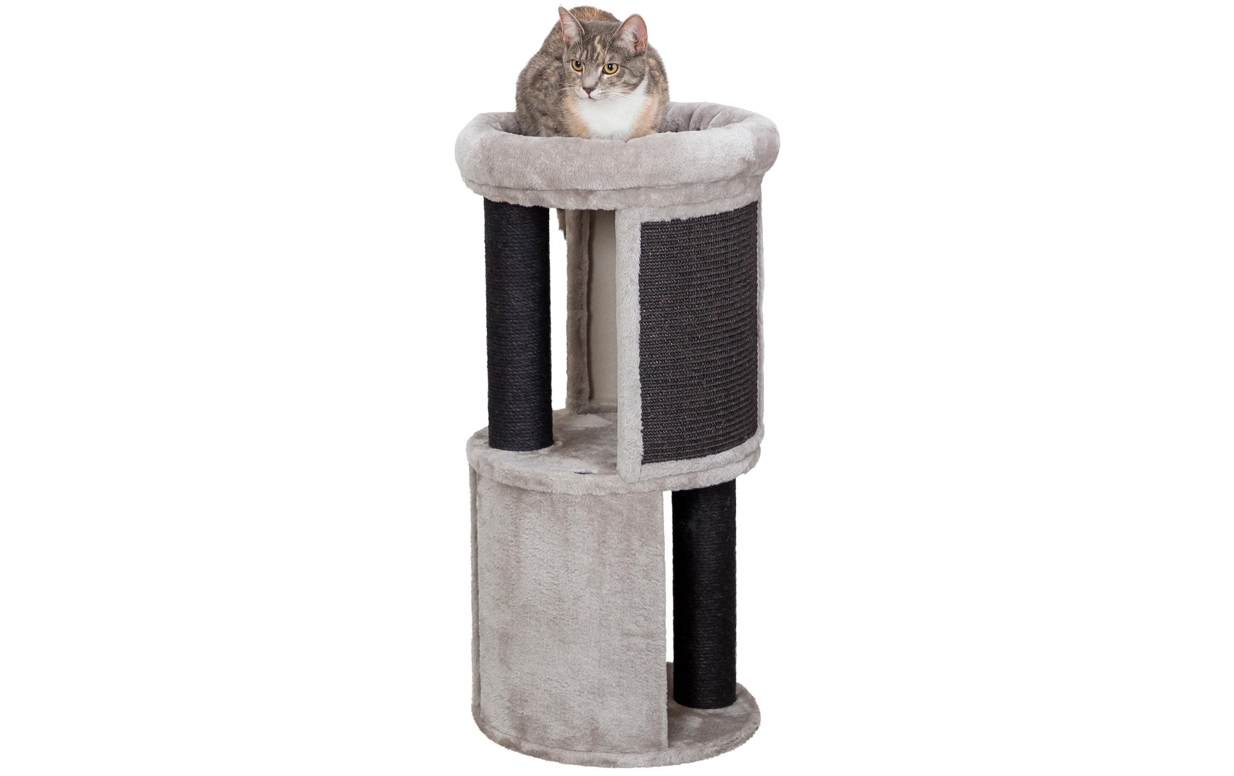TRIXIE Kratztonne »Cat Tower Giorgia, Ø 38 x 82 cm, Grau«
