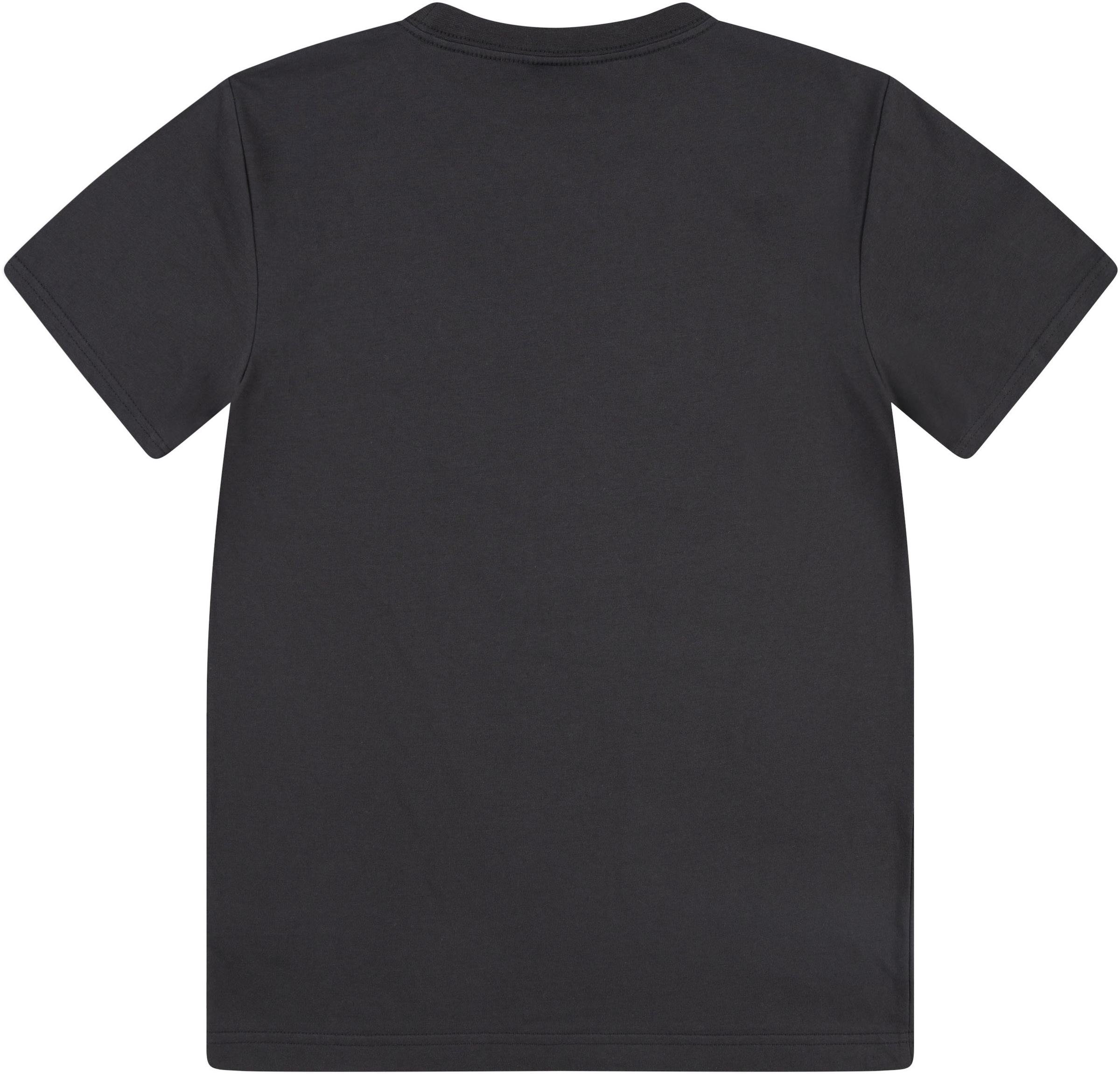 Levi's® Kids T-Shirt »LVB SOAR LIKE AN EAGLE TEE«, mit Frontprint im Used Look