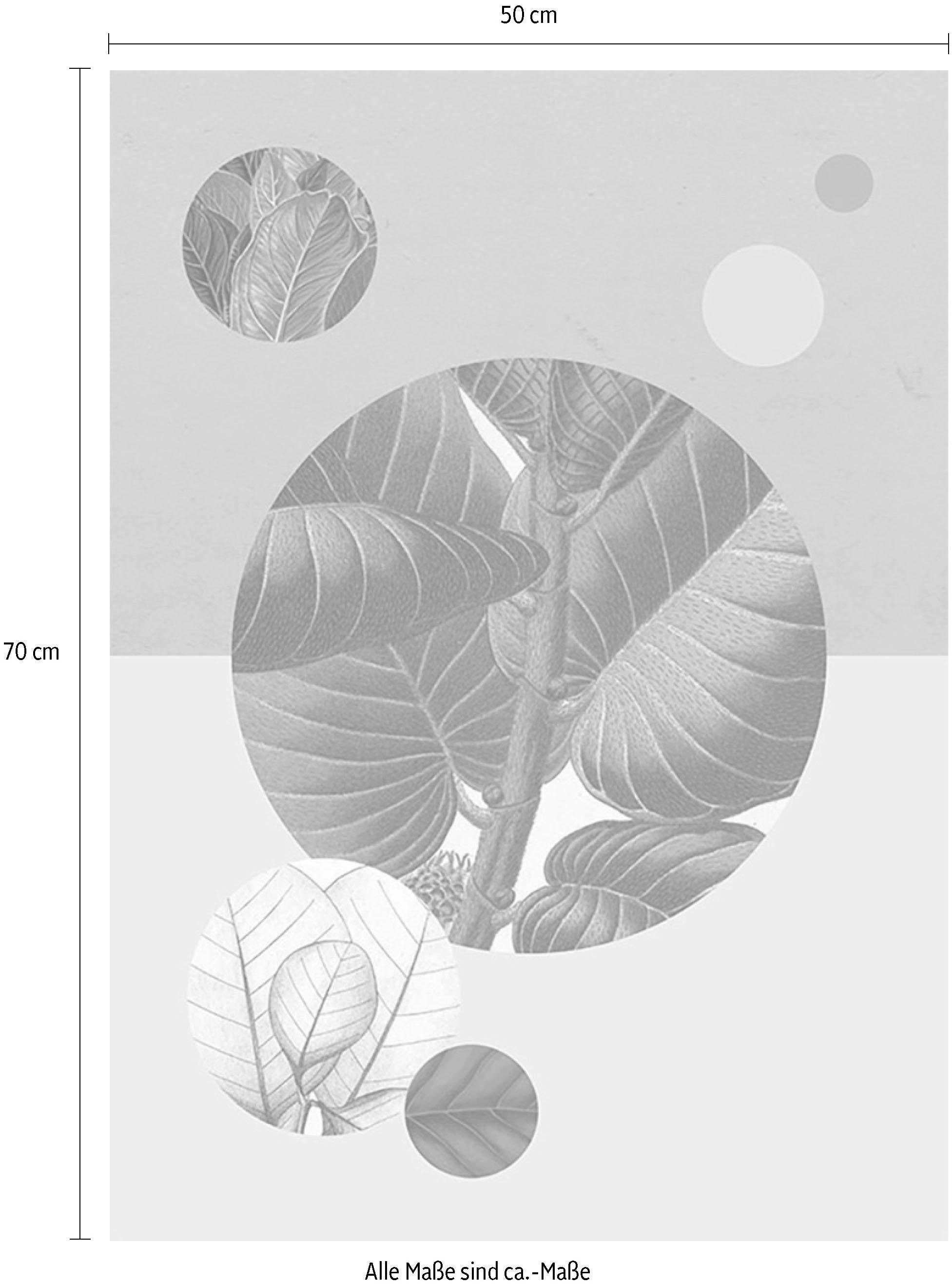im St.), (Packung, Poster »Green Komar Pflanzen-Blätter, ordern Jelmoli-Online ❤ Shop Schlafzimmer, Kinderzimmer, Structure«, 1 Wohnzimmer