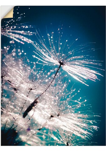 Artland Wandbild »Pusteblume Kristallschirmchen«, Blumen, (1 St.), als Alubild,... kaufen