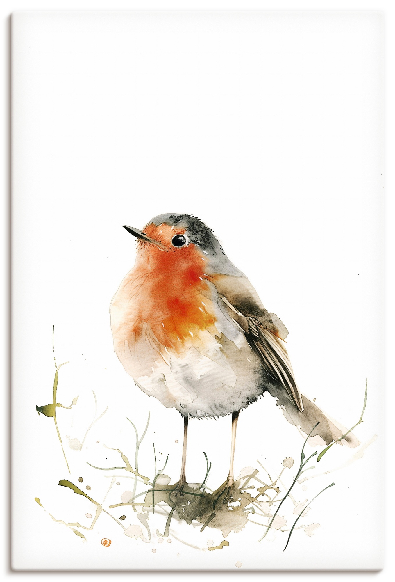 Artland Wandbild "Aquarell Rotkehlchen" Vogelbilder 1 Stk. tlg. als Alubild, Leinwandbild, Poster, Wandaufkleber in verschied. Grössen