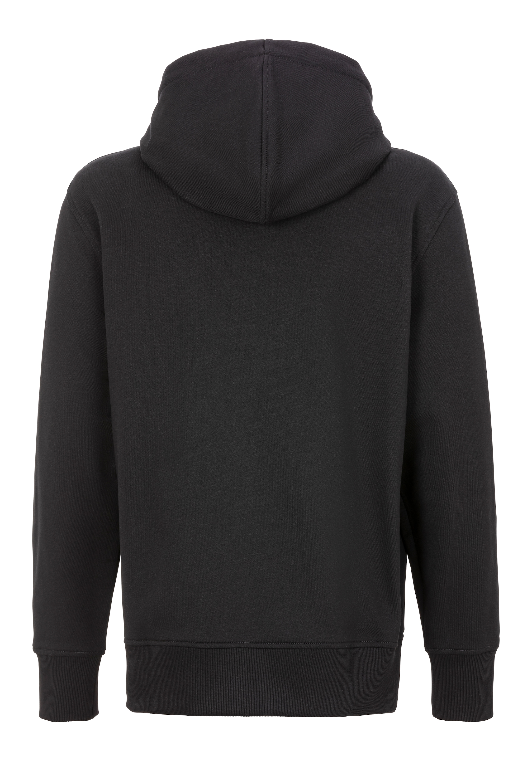 Calvin Klein Jeans Plus Kapuzensweatshirt »PLUS SERIF FONT GRAPHIC HOODIE«, in grossen Grössen