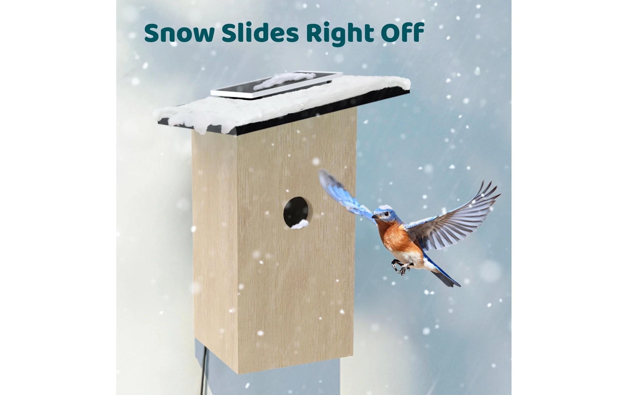 Birdfy Vogelhaus "Nistkasten mit Kamera und Solar"