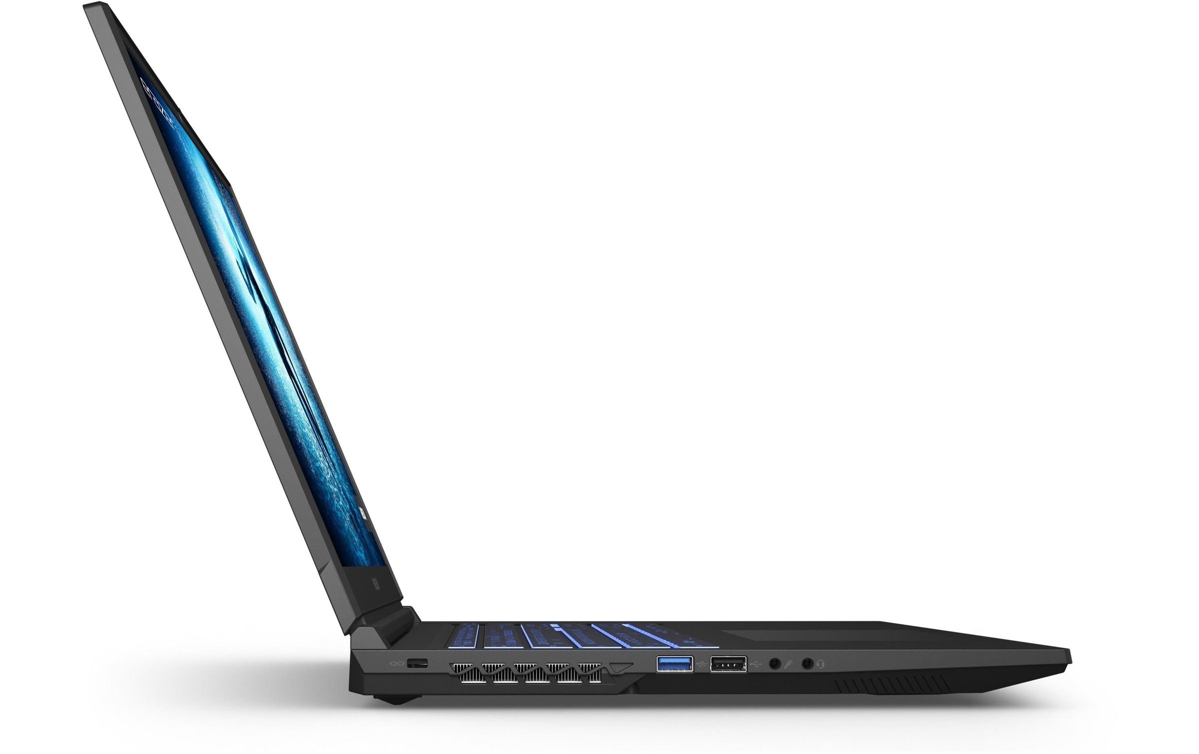 Medion® Gaming-Notebook »Erazer Defender P20«, 43,77 cm, / 17,3 Zoll, Intel, Core i7, GeForce RTX 3060, 1000 GB SSD