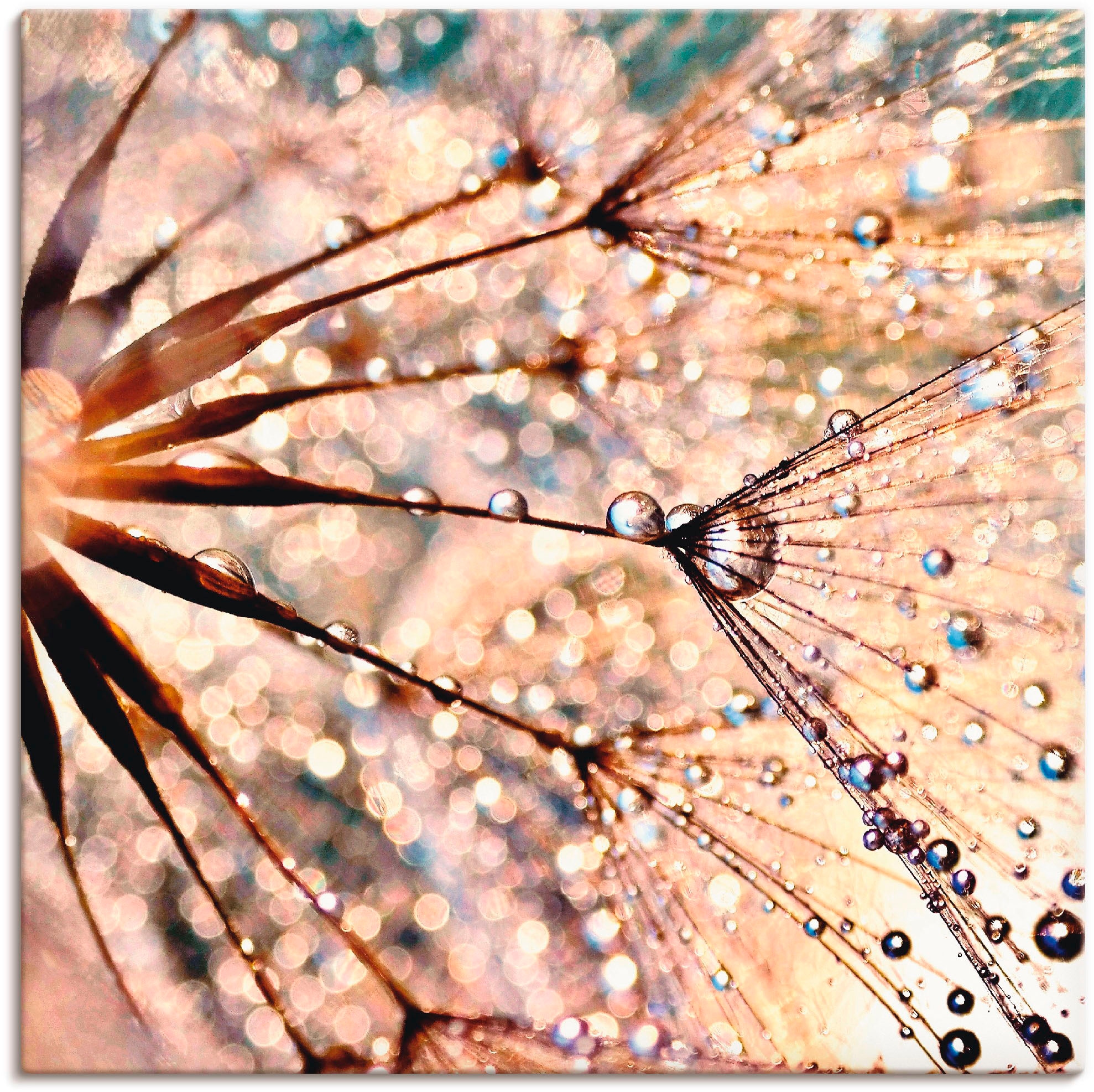 Artland Wandbild »Pusteblume - Kisses from rain«, Blumen, (1 St.), als Leinwandbild, Poster in verschied. Grössen