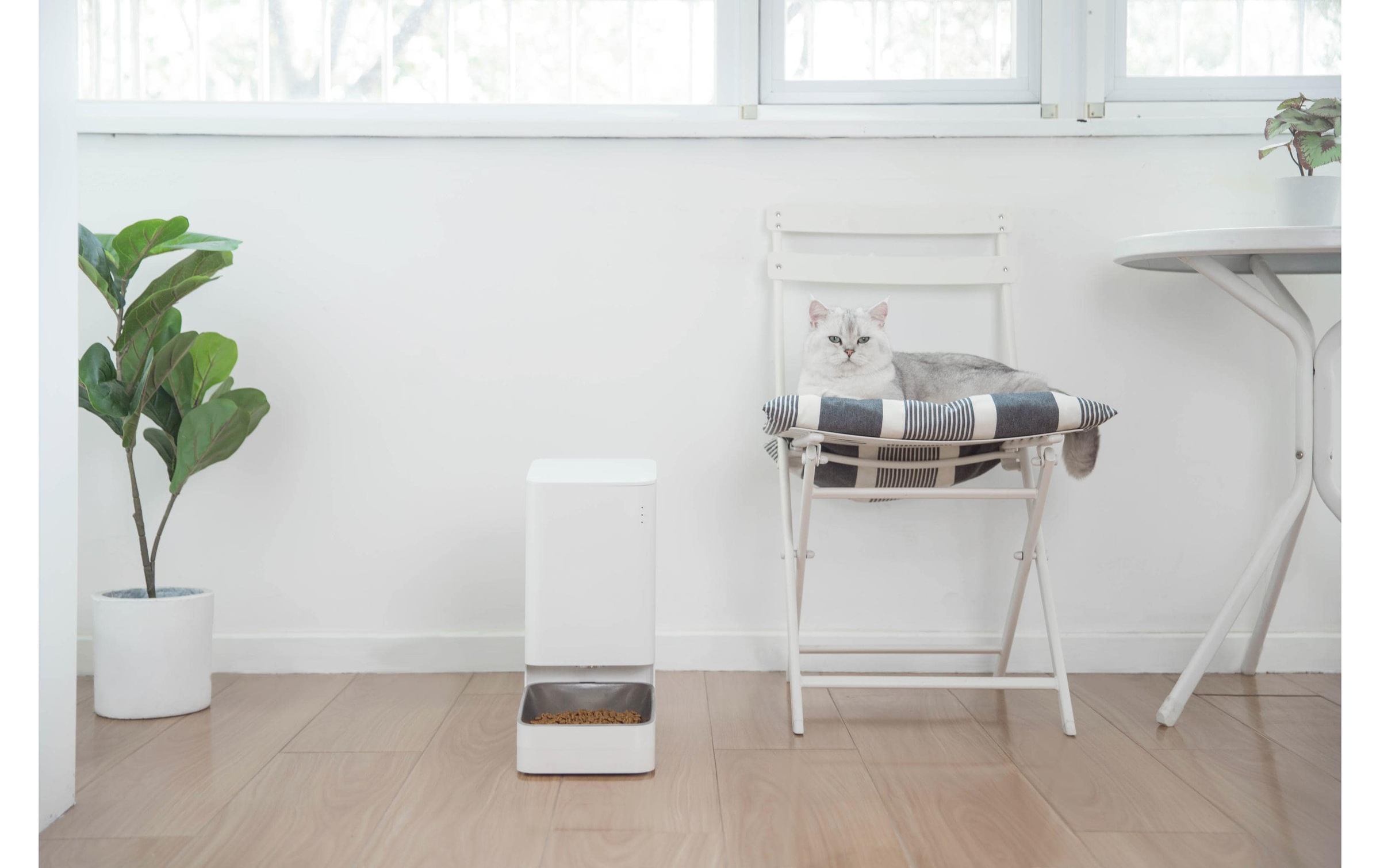 Xiaomi Futterautomat »Pet Food Feeder«