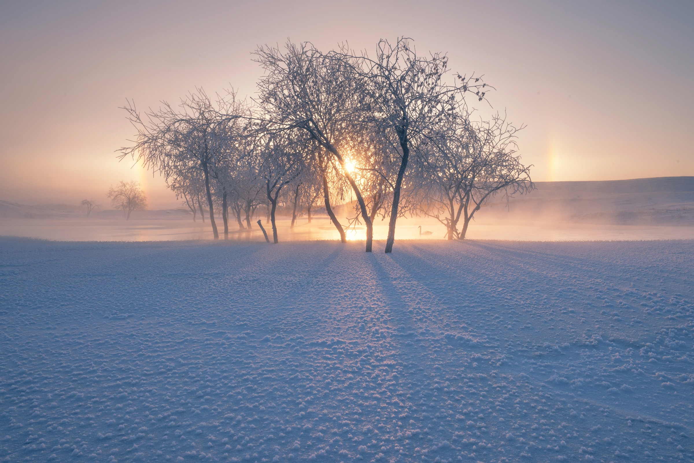 Papermoon Fototapete »Photo-Art BINGO Z, SCHNEELANDSCHAFT IM WINTER«