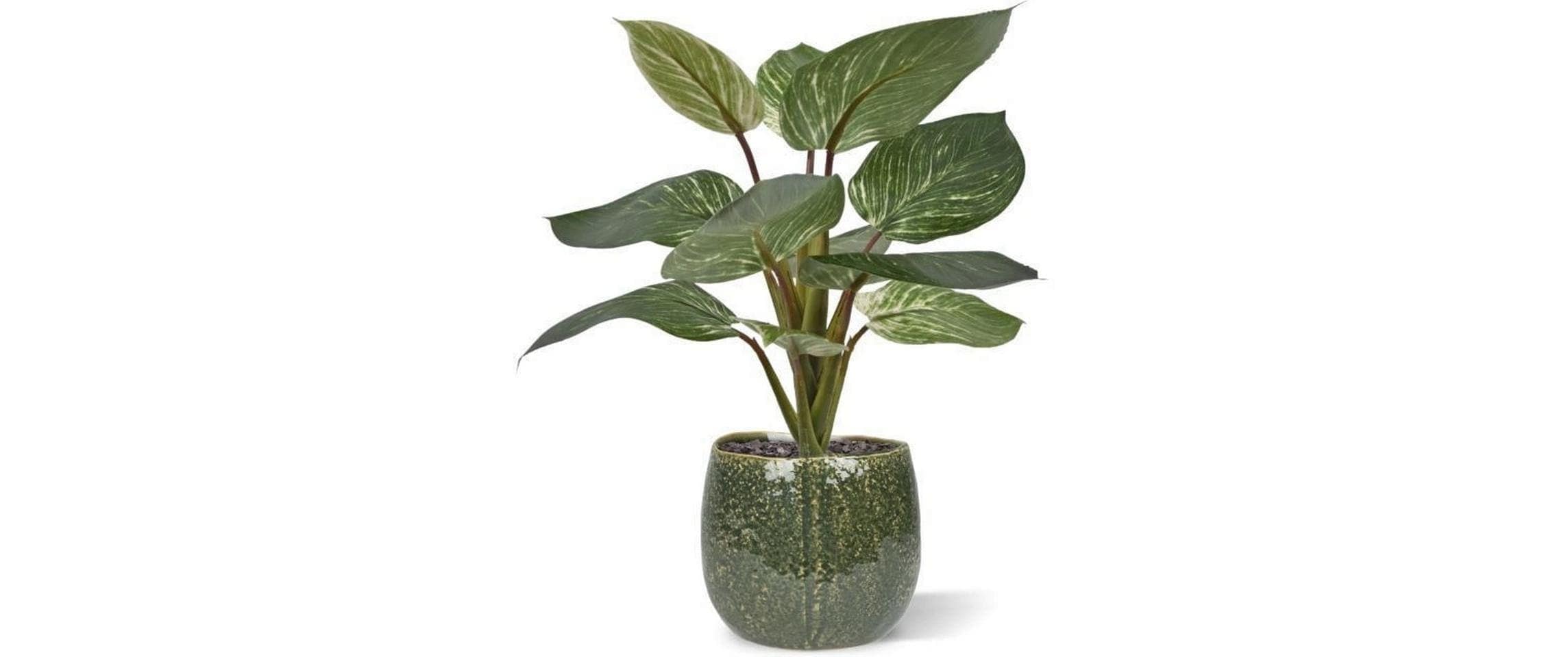 Botanic-Haus Kunstblume »Philodendron Birkin 30 cm«