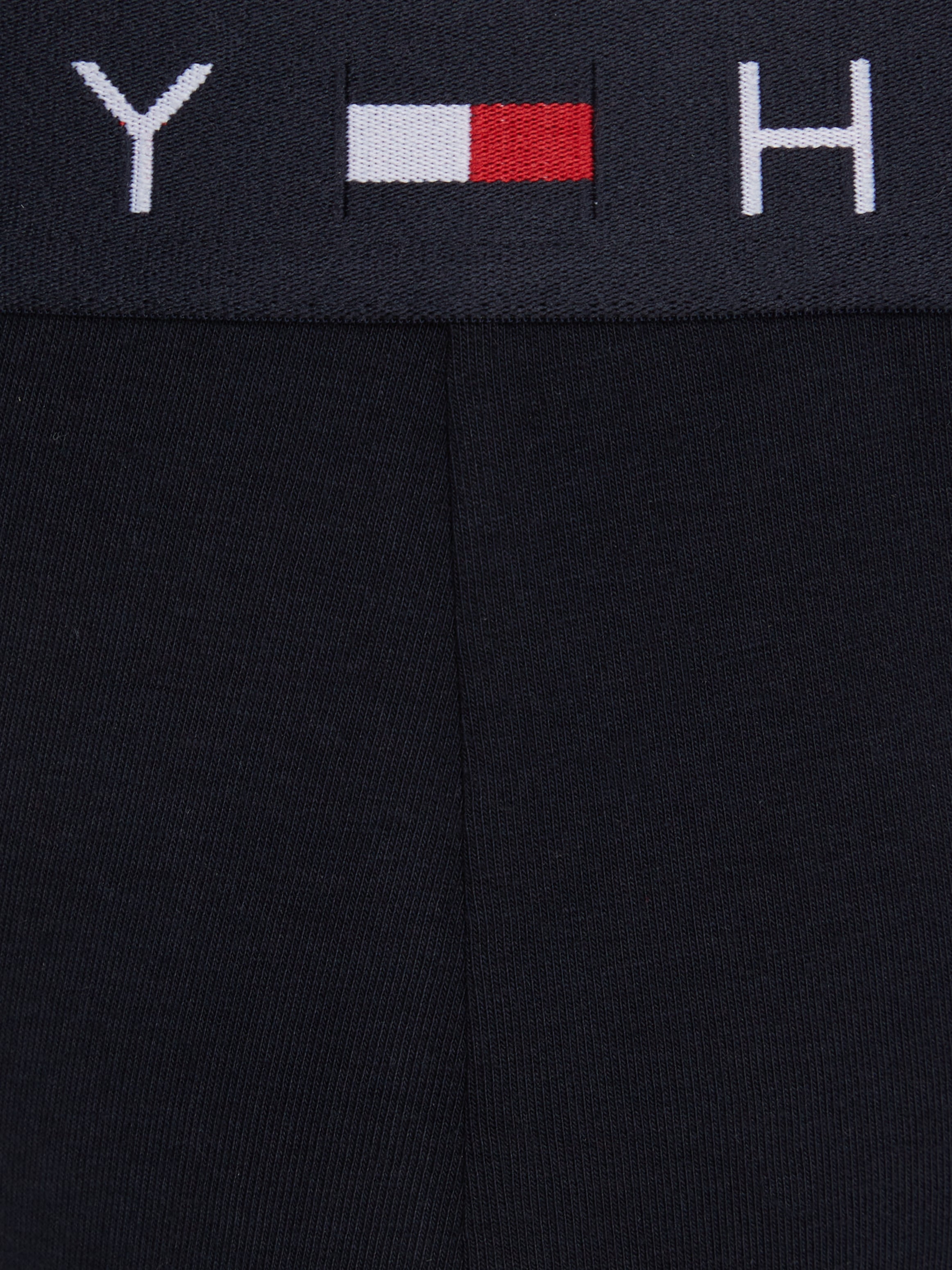 Tommy Hilfiger Underwear Slip »TH-3P BRIEF«, (Packung, 3er), mit Tommy Hilfiger Logoschriftzug