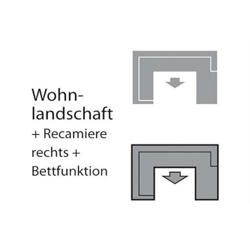 COTTA Wohnlandschaft »Ecksofa in modernem Design, U-Form«