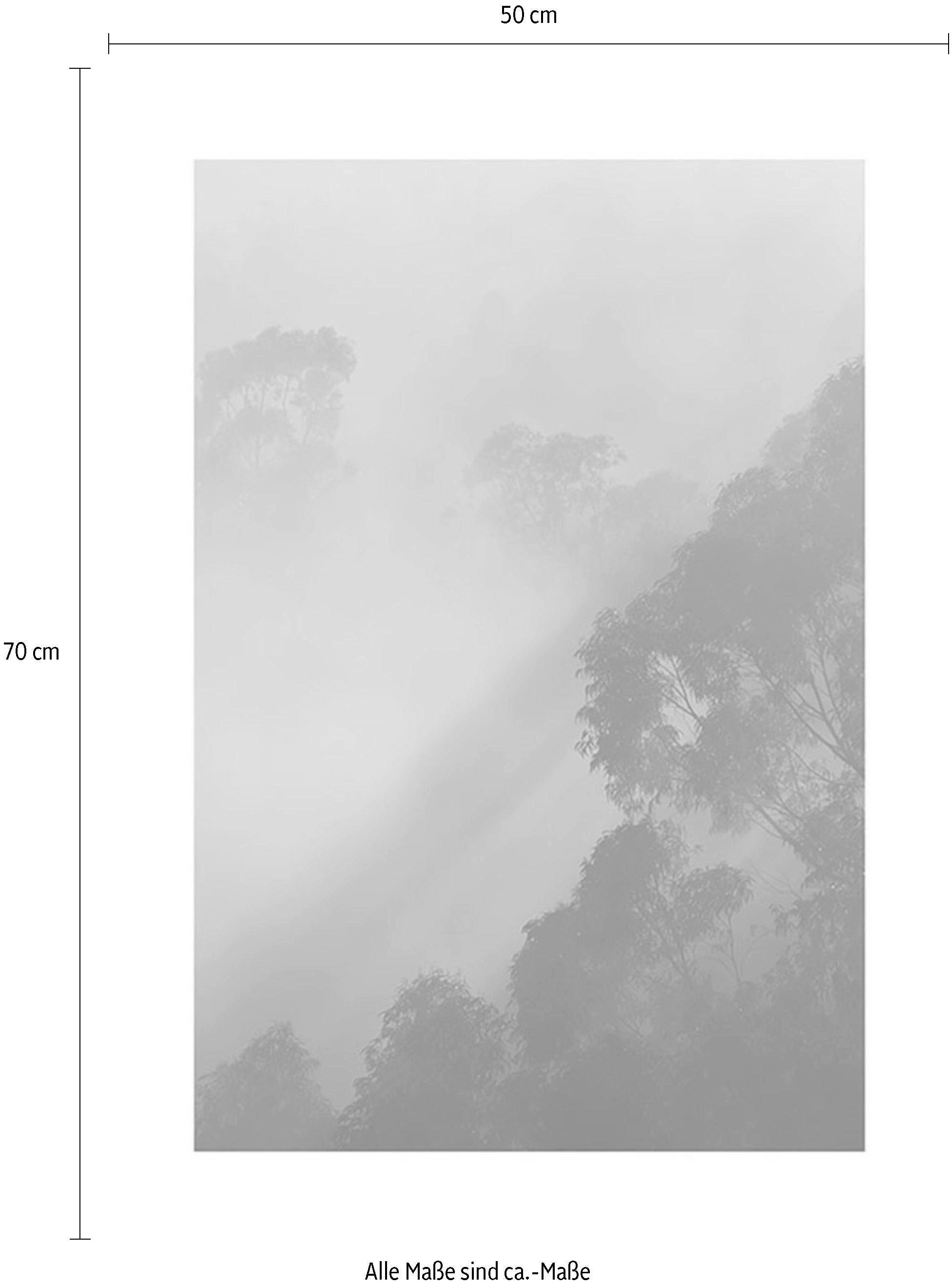 Komar Bild »Golden Light«, Natur, (1 St.), Wandbild zur Dekoration - ohne Rahmen