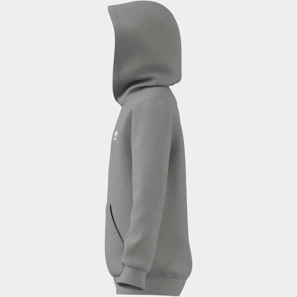 adidas Originals Kapuzensweatshirt »HOODIE«