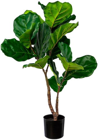 Kunstbaum »Ficus Lyrata«