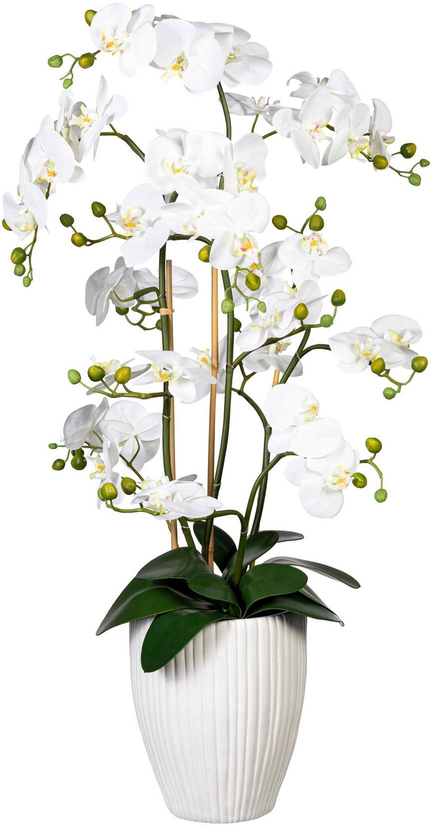 Creativ green Kunstorchidee »Deko-Orchidee Phalaenopsis XL im Keramiktopf«