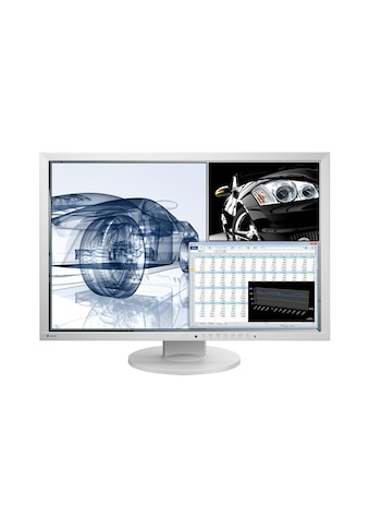 LCD-Monitor »EV2430W-Swiss Edition«, 61,2 cm/24,1 Zoll, 1920 x 1200 px