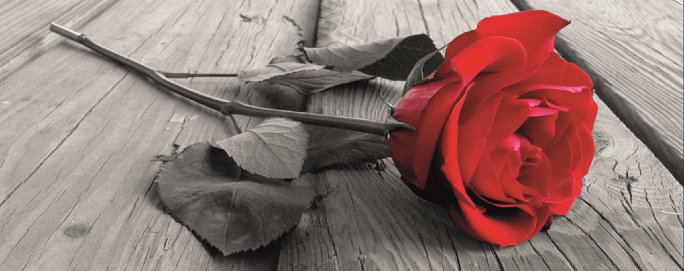 Home affaire Leinwandbild »Rose on the wooden floor«, 160/55 cm kaufen