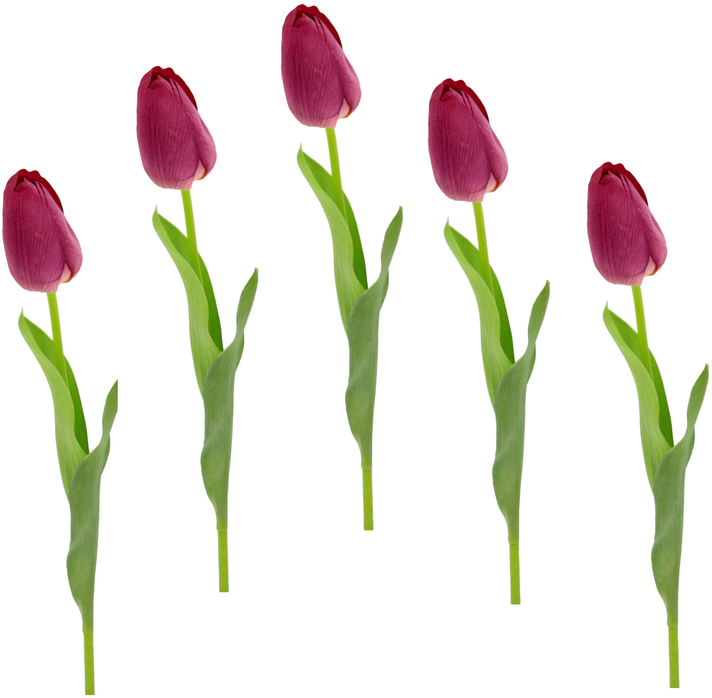 I.GE.A. Kunstblume »Real Touch Tulpen«, 5er Set künstliche Tulpenknospen, Kunstblumen, Stielblume