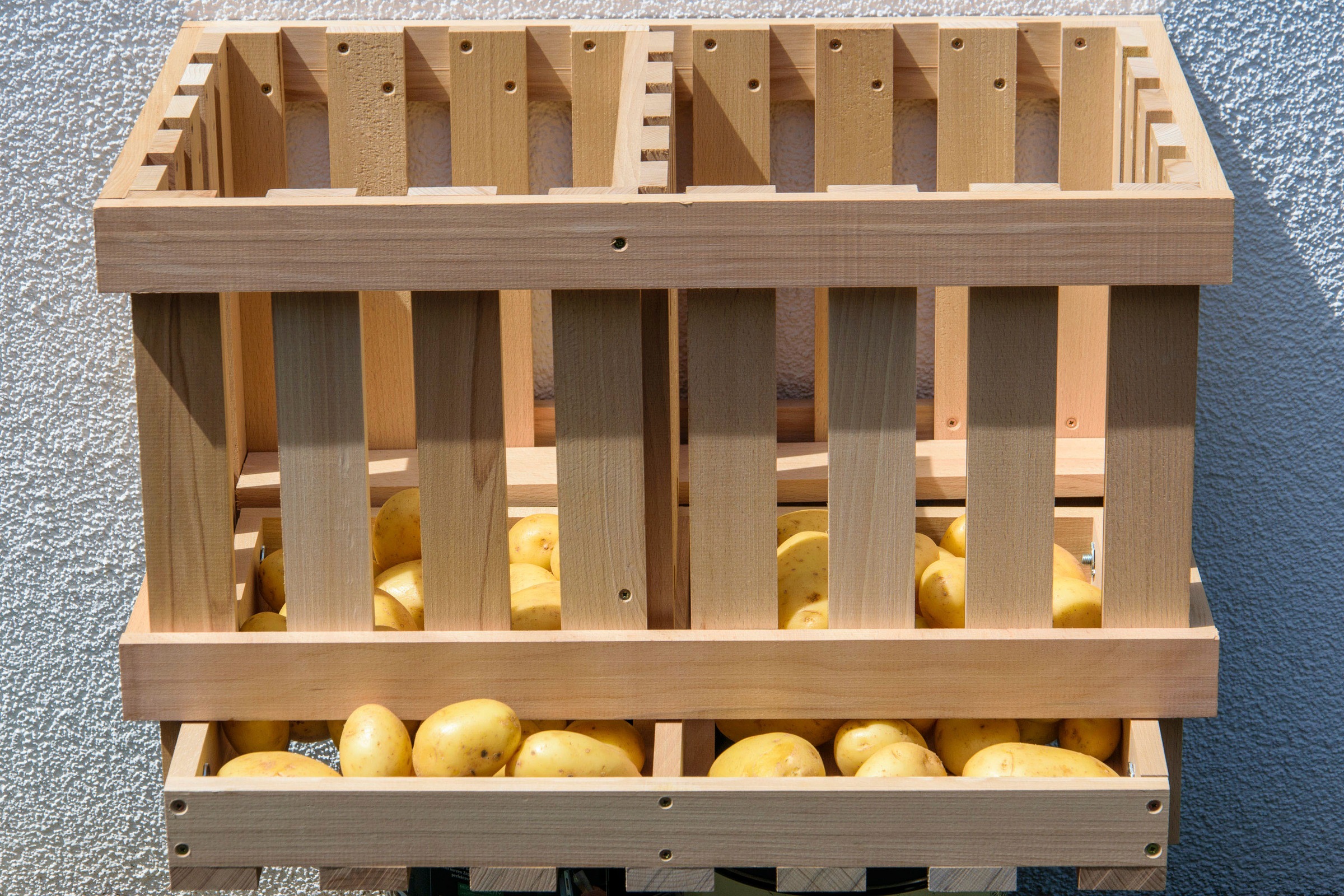 dobar Vorratsbehälter aus Holz - versch. Ausführungen