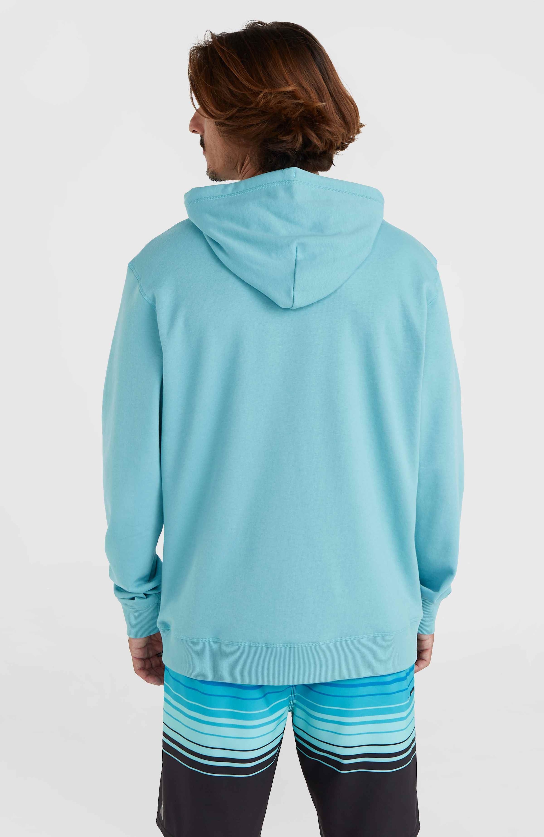 O'Neill Kapuzensweatshirt »O'NEILL LOGO HOODIE«, mit Logodruck