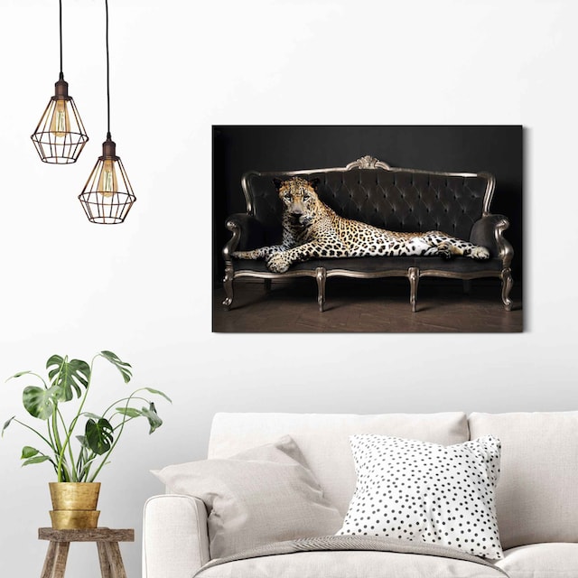 ❤ Reinders! Wandbild »Wandbild Leopard Chic Panther - Liegend - Luxus -  Relax«, Leopard, (1 St.) kaufen im Jelmoli-Online Shop