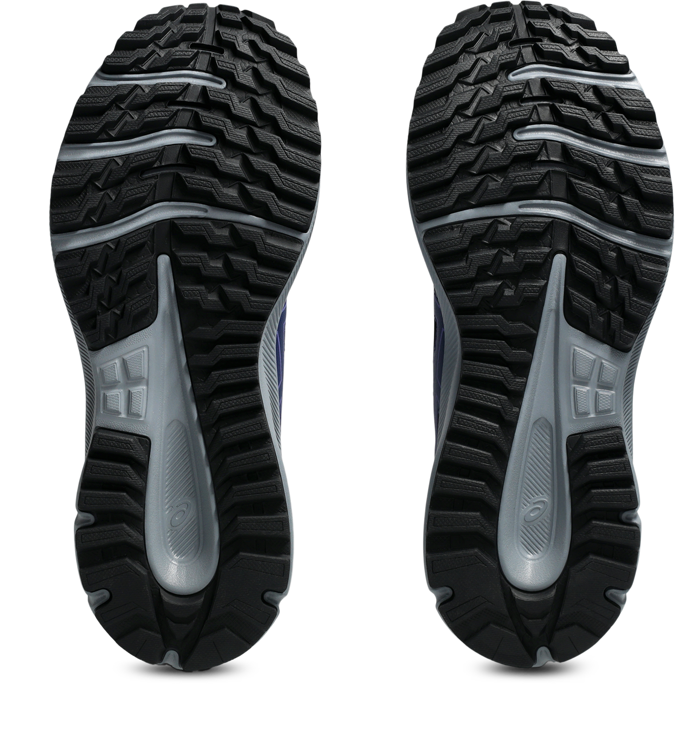 Asics Trailrunningschuh »TRAIL SCOUT 3«