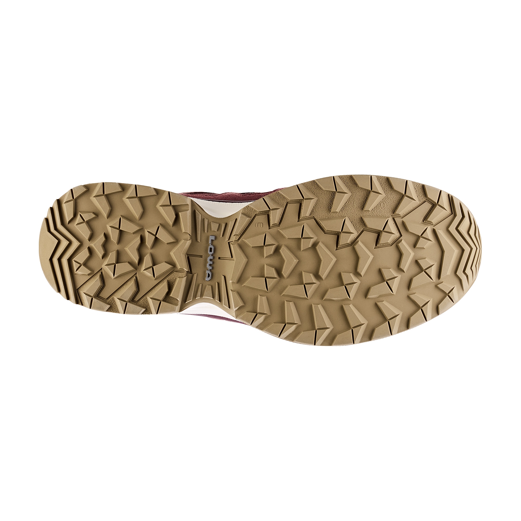 Lowa Wanderschuh »INNOX EVO II GTX WS«, wasserdicht
