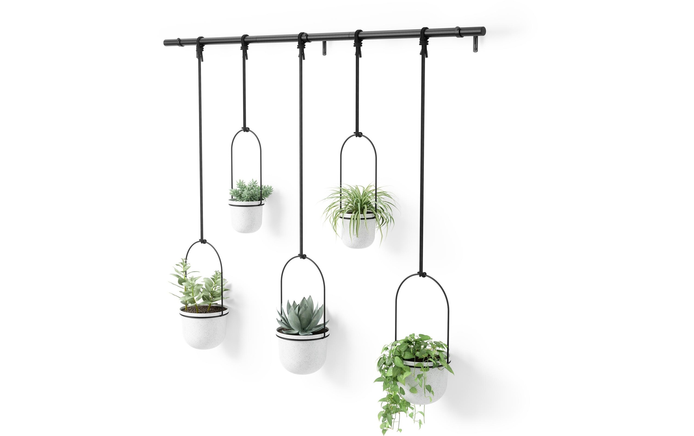 Umbra Blumentopf "Triflora 5er Set"
