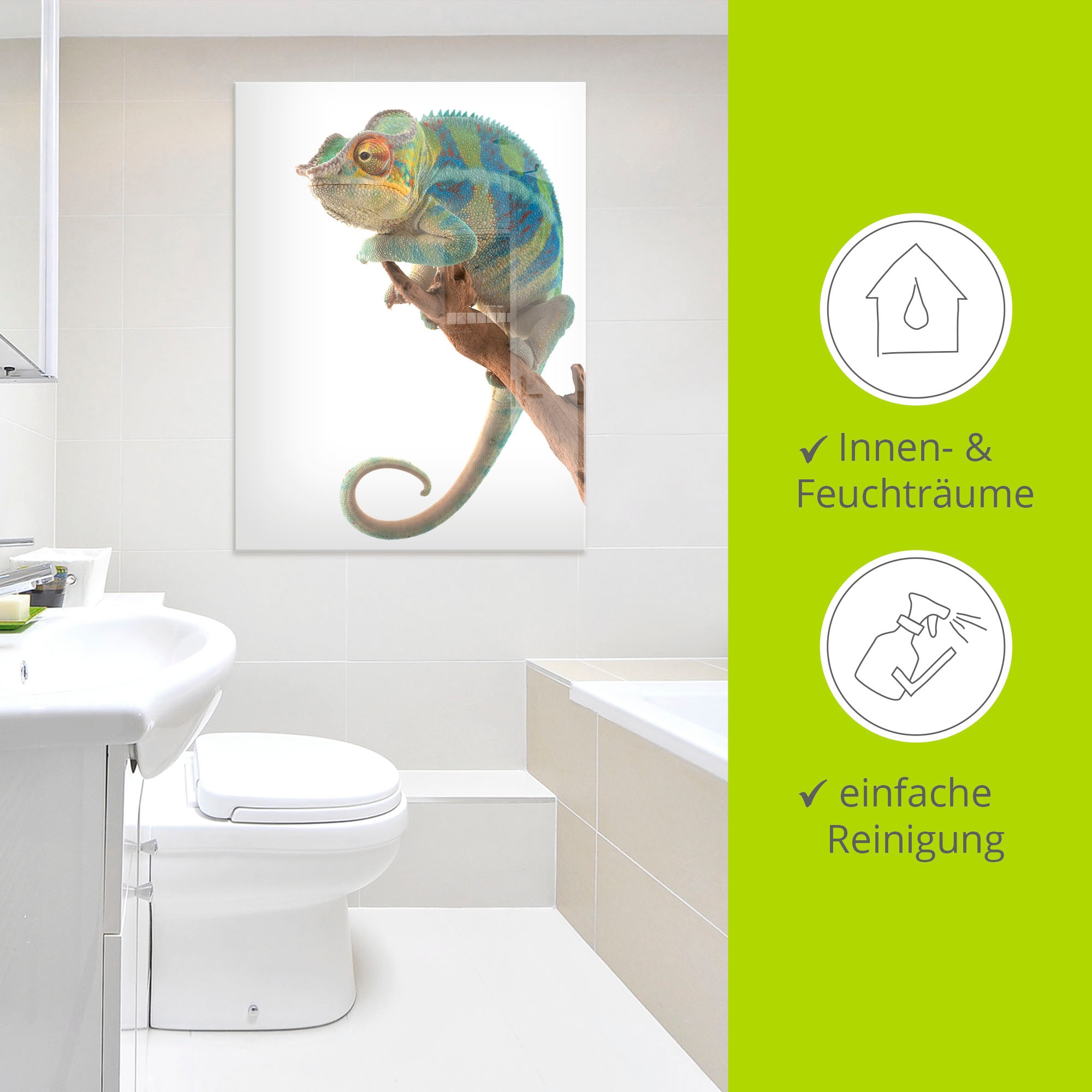 Artland Glasbild »Ambanja Panther Chamäleon«, Reptilien, (1 St.), in verschiedenen Grössen