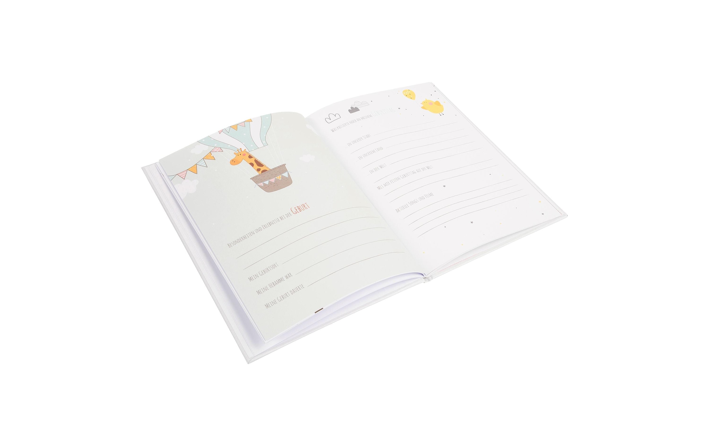Goldfarbenbuch Tagebuch »Babytagebuch Hurra ein Mädchen«