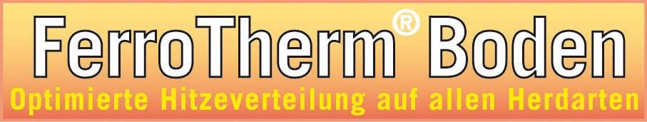 GSW Bräter »Ceramica Induktion | tlg.), online kaufen Aluminiumguss, (1 Jelmoli-Versand Stone«