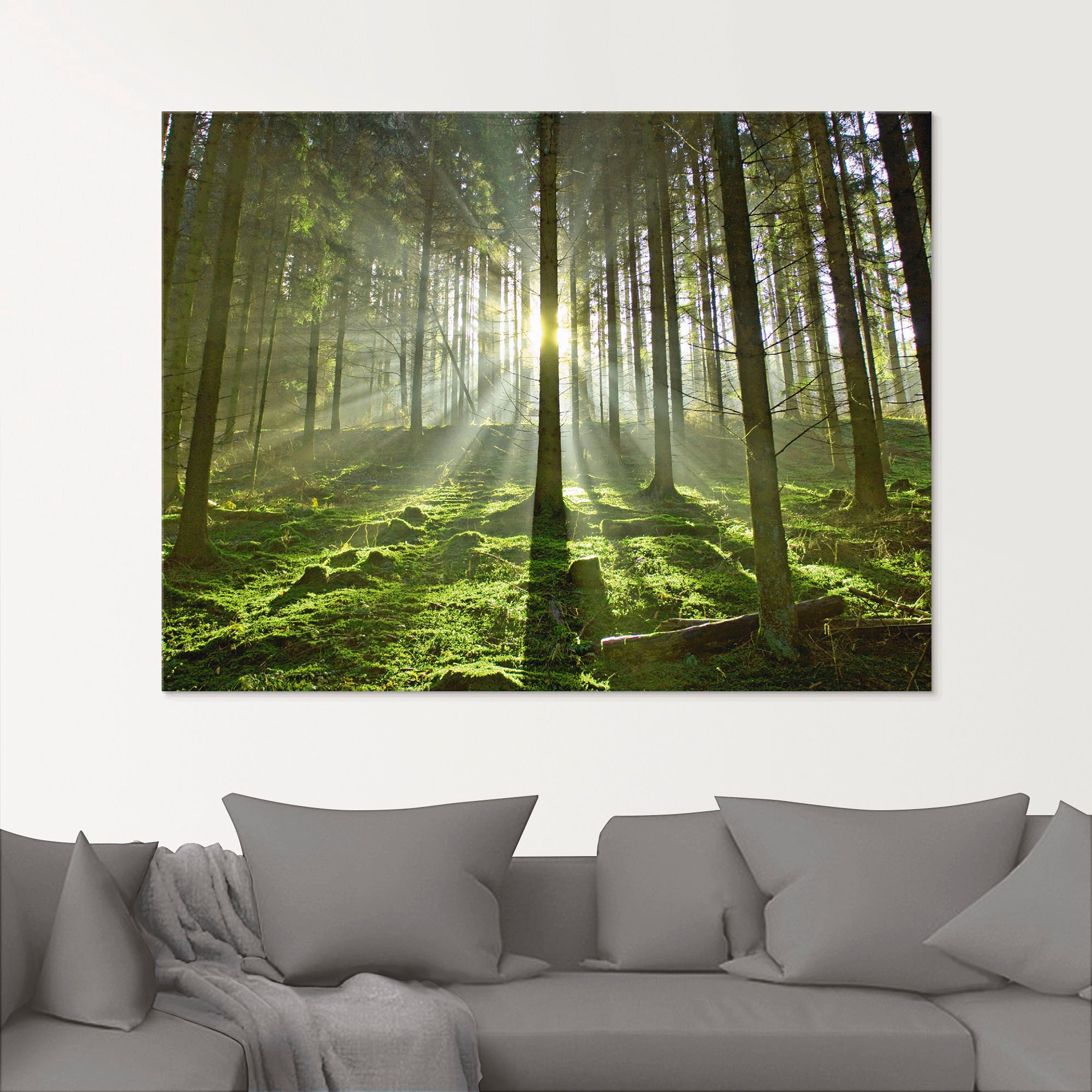 Artland Glasbild »Wald im Gegenlicht«, Wald, (1 St.), in verschiedenen Grössen