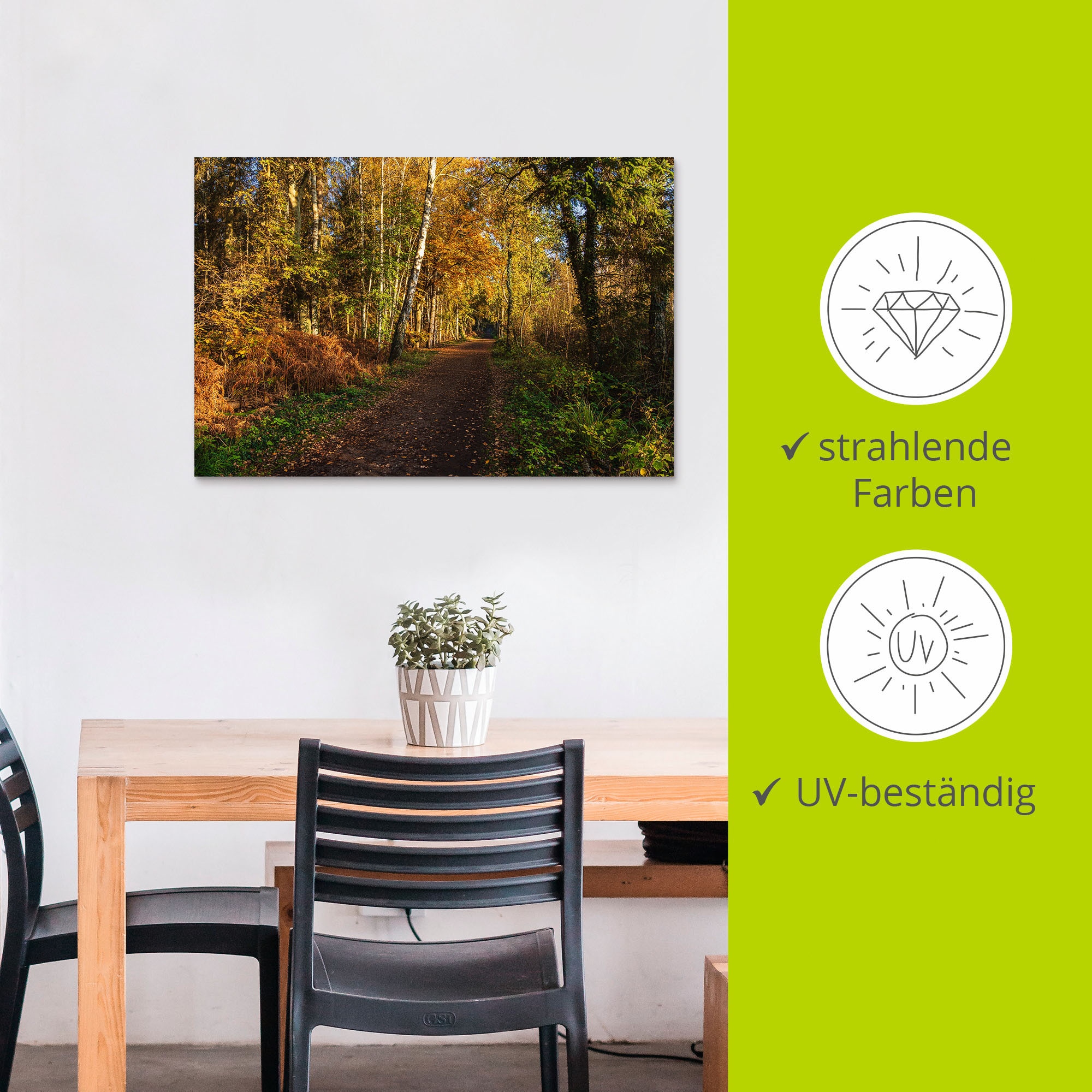 Artland Wandbild »Bäume herbstlich auf dem Fischland-Darss«, Waldbilder, (1 St.), als Alubild, Leinwandbild, Wandaufkleber oder Poster in versch. Grössen