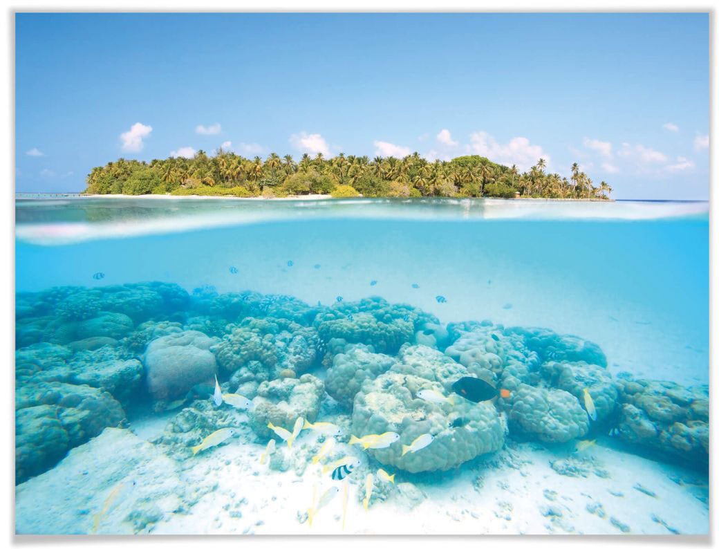 Wall-Art Poster »Unterwasserwelt Malediven«, Meer, (1 St.), Poster, Wandbild,  Bild, Wandposter online kaufen | Jelmoli-Versand