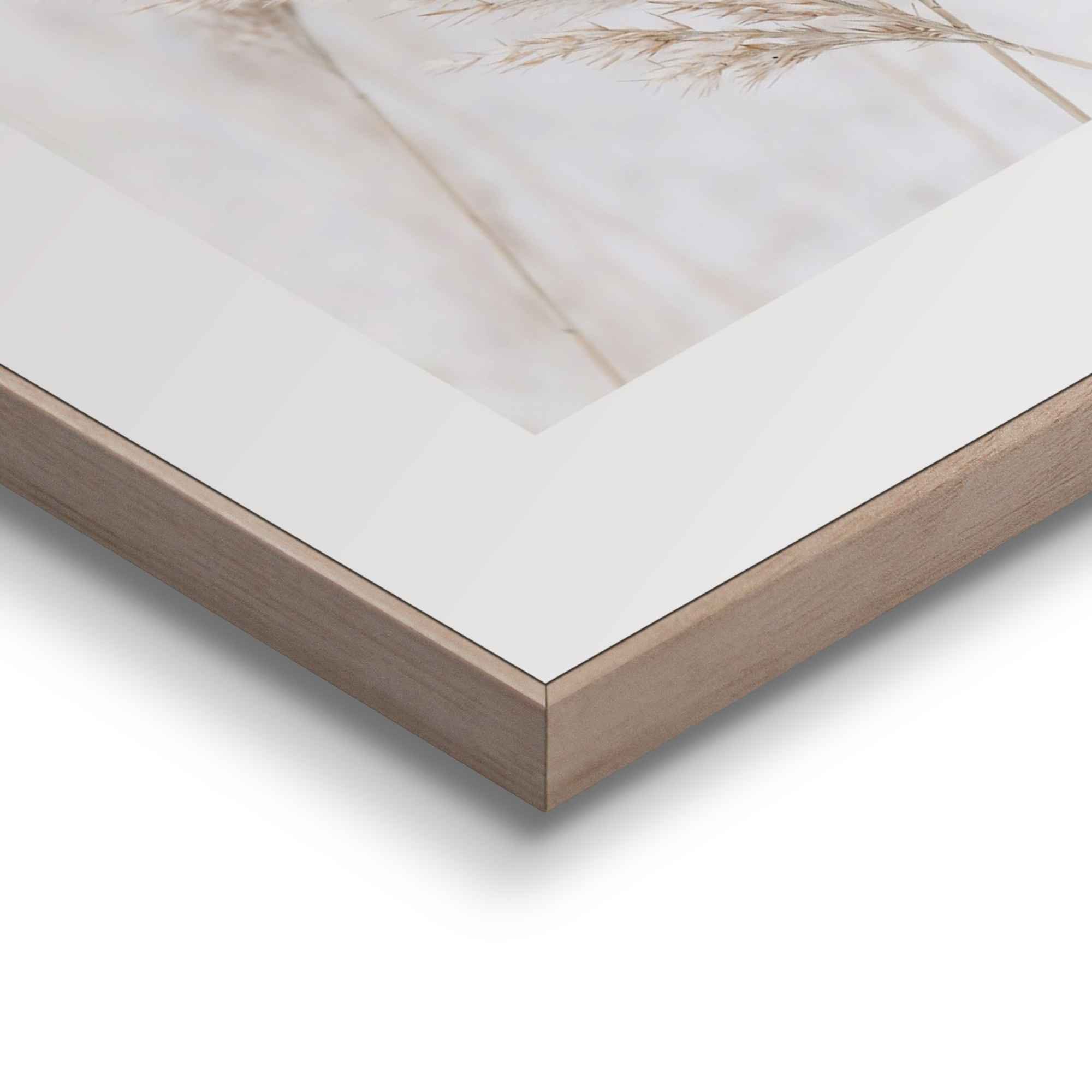 Reinders! Wandbild »Kraniche Strand - Natur - Botanisch - Freiheit«, (2 St.)