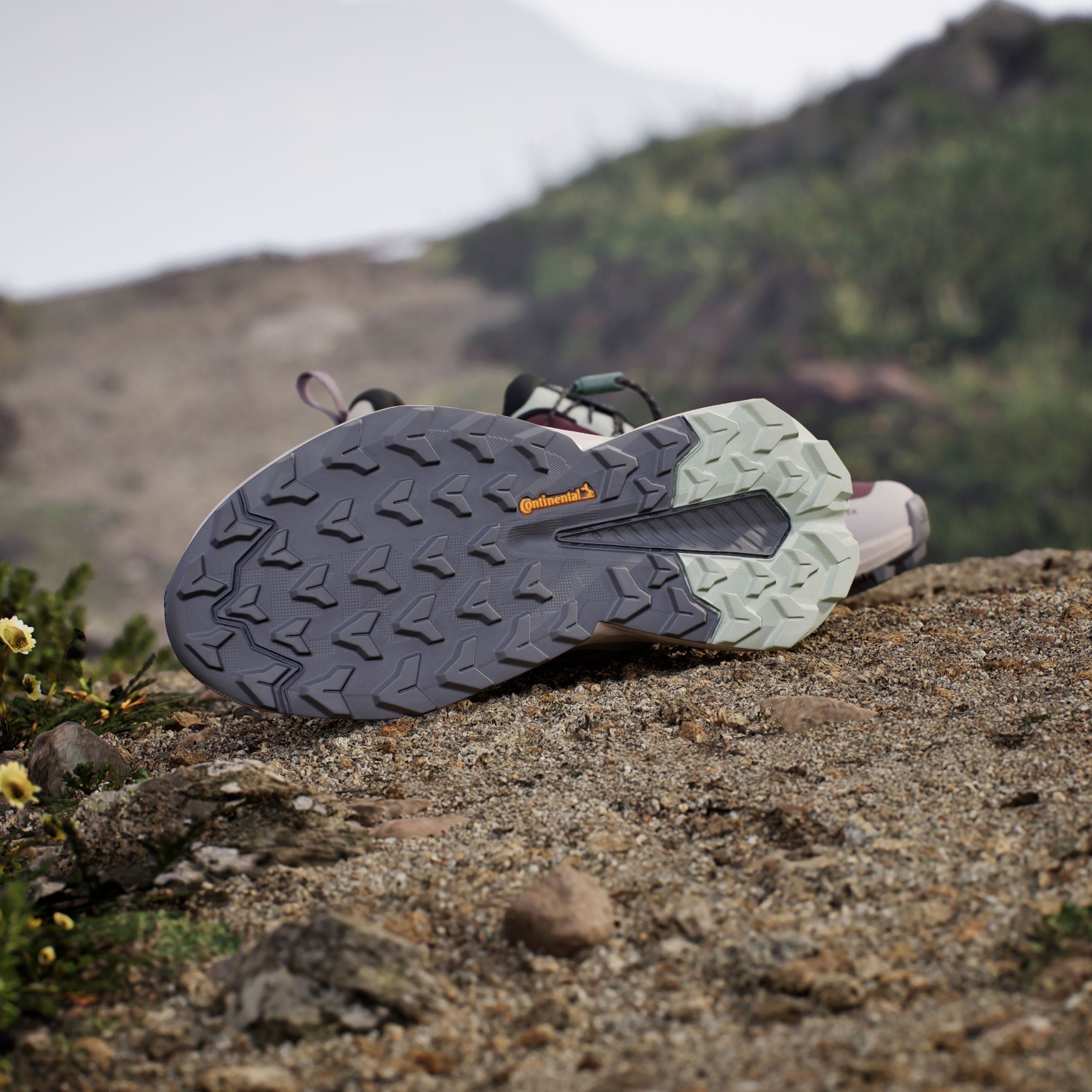 adidas TERREX Wanderschuh »TERREX TRAILMAKER 2 GORE-TEX SPEED LACE«, wasserdicht