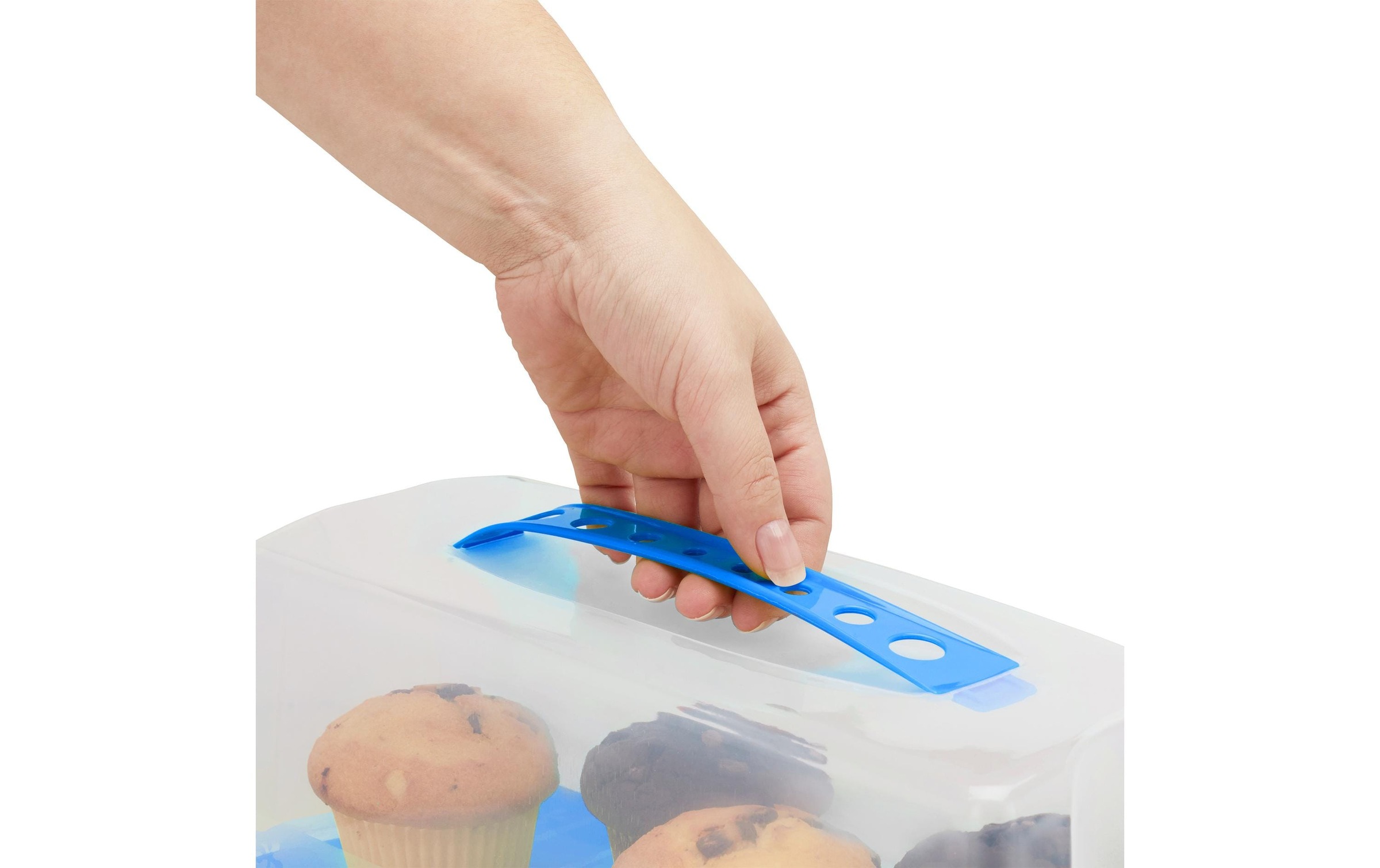 relaxdays Kuchentransportbox, (1 tlg.)