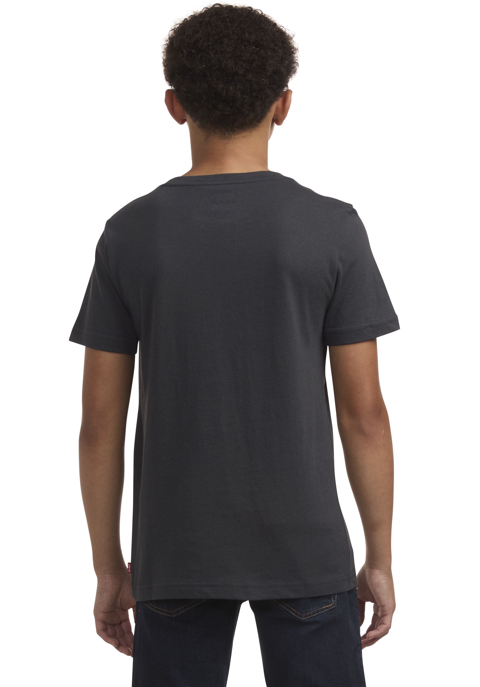 Levi's® Kids T-Shirt »LVB SOAR LIKE AN EAGLE TEE«, mit Frontprint im Used Look