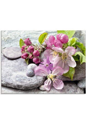 Artland Glasbild »Apfelblüten«, Blumen, (1 St.) kaufen