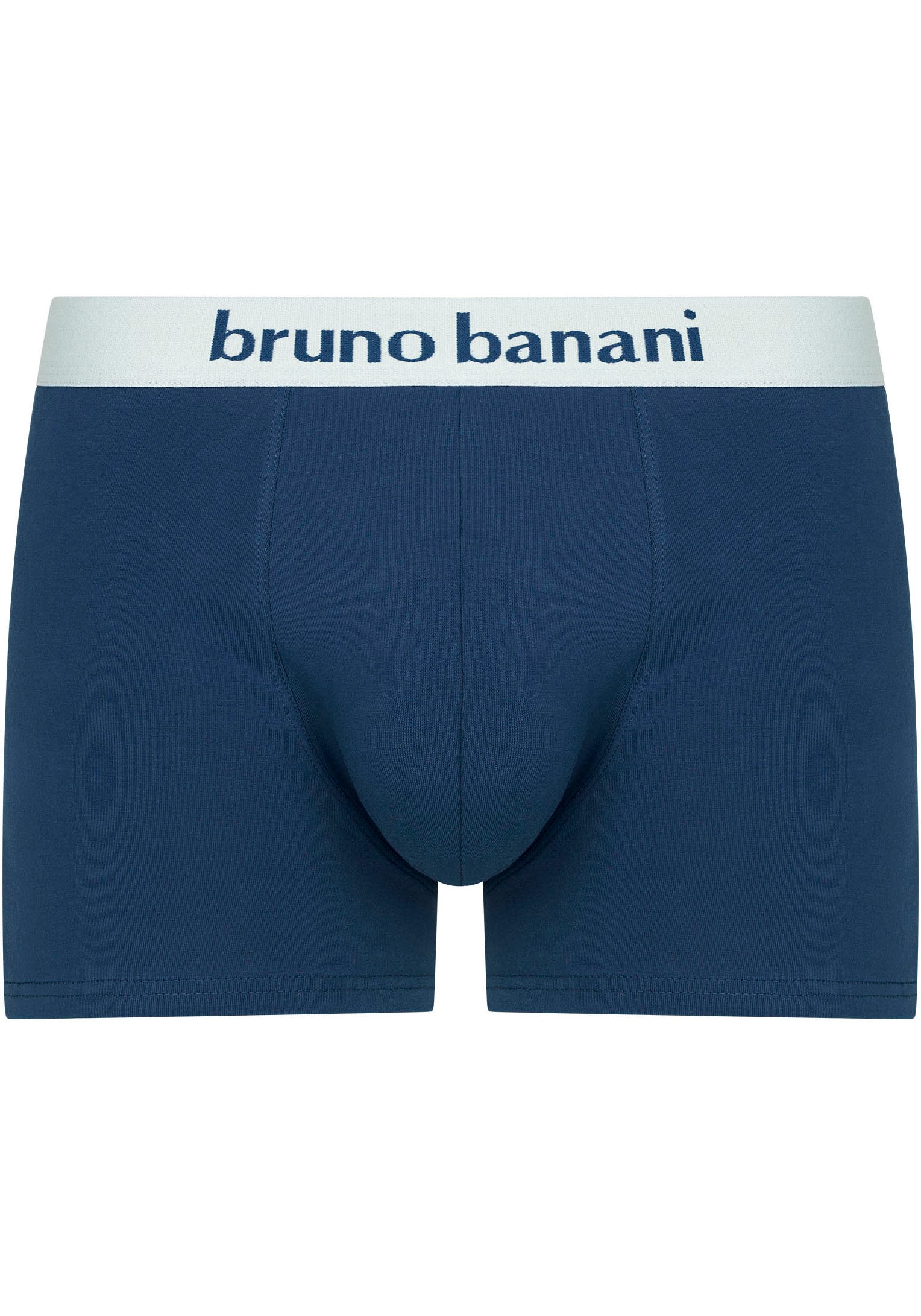 Bruno Banani Retro Pants »Calathea«, (2er Pack), mit Logobund