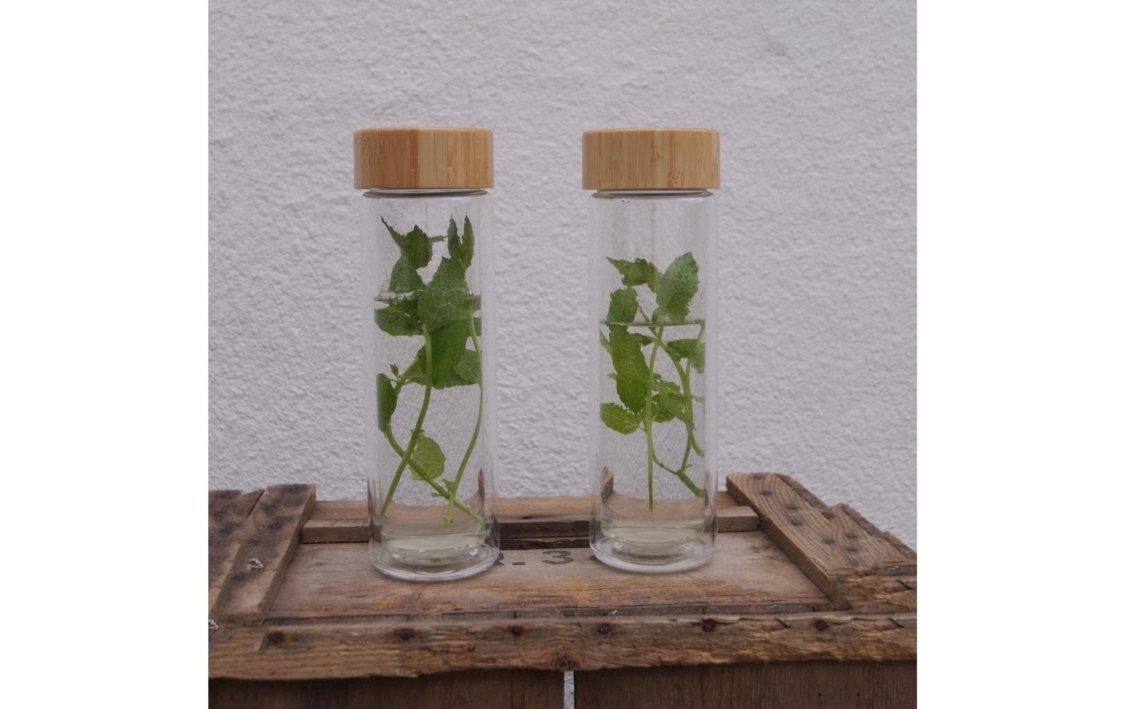 Thermoflasche »Yummii Bambus«, Holzart: Bambus (China)