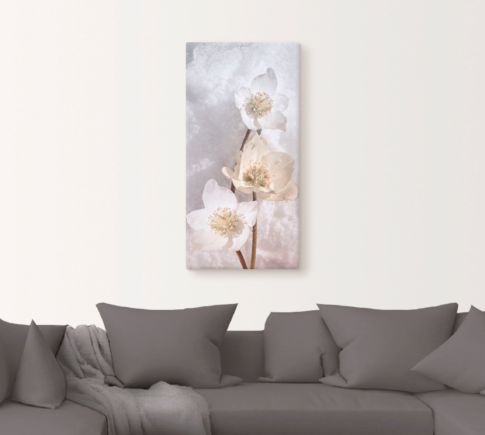 Artland Wandbild »Christrose im Schnee«, Blumen, (1 St.), als Leinwandbild, Poster in verschied. Grössen