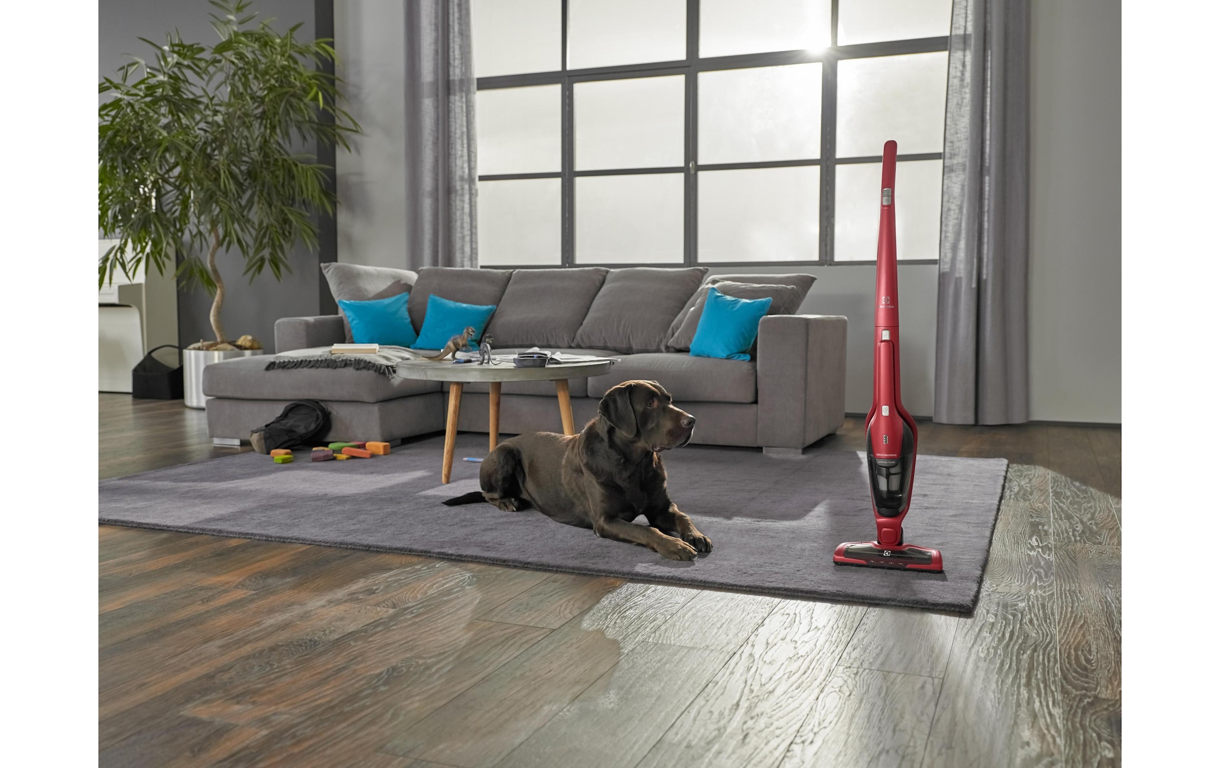 Electrolux Akku-Hand-und Stielstaubsauger »EER7ANIMAL«