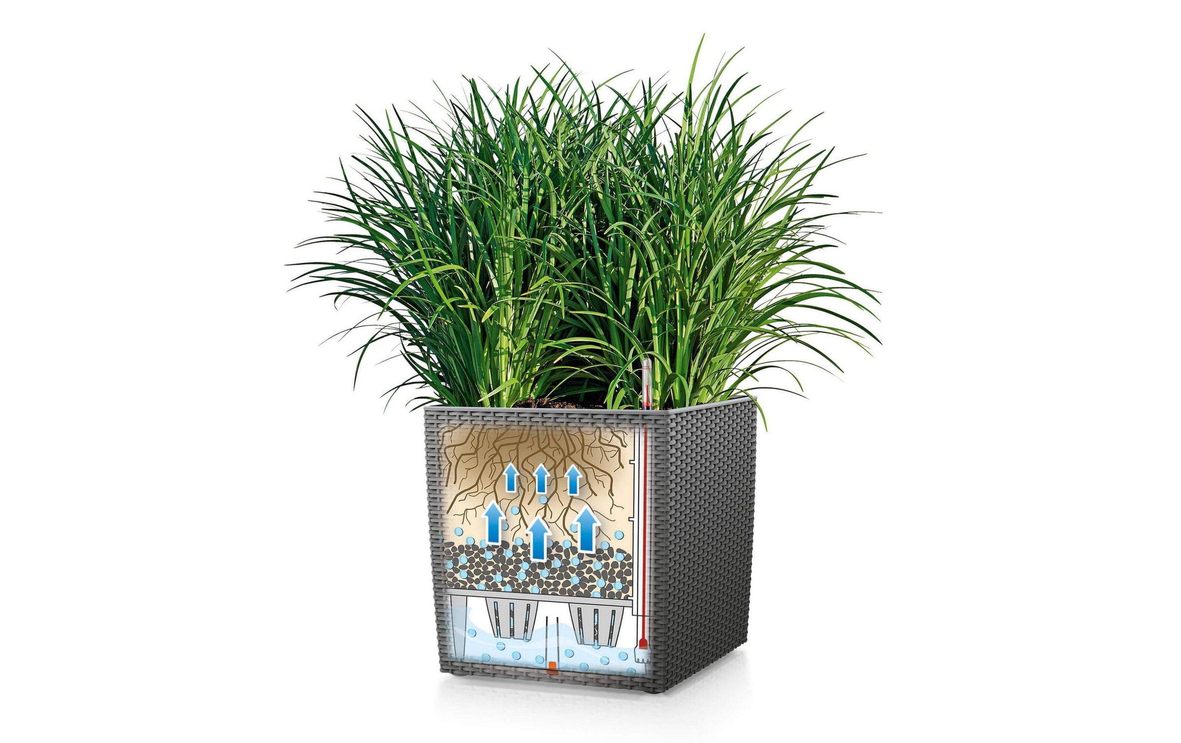 Blumentopf »Lechuza Cube Cottage 40 Anthrazit«