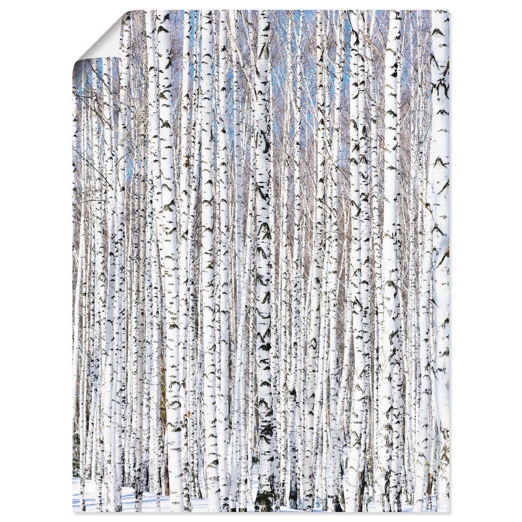 Artland Wandbild »Winterbirkenwald Wintergelassenheit«, Bäume, (1 St.)