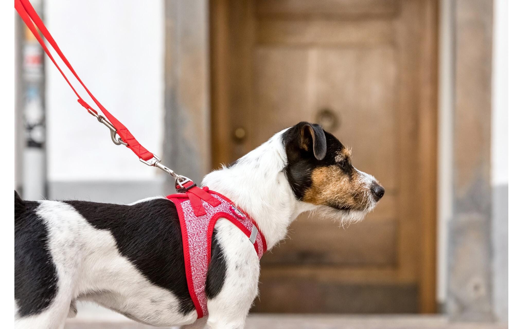 Curli Hunde-Geschirr »Merino XS«, Polyester