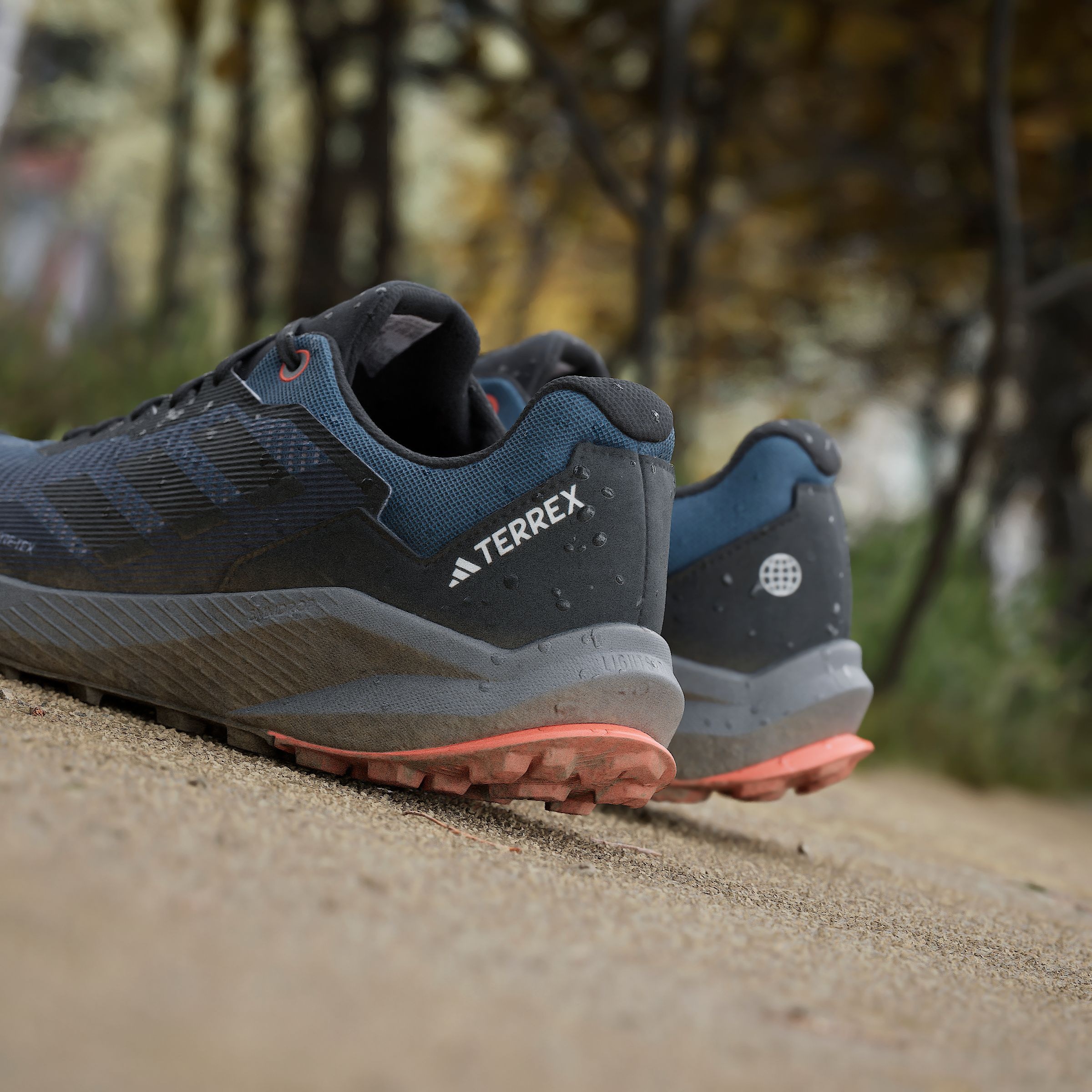 adidas TERREX Trailrunningschuh »TRAIL RIDER GORE-TEX TRAILRUNNING«, wasserdicht