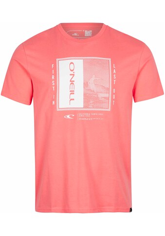 O'Neill T-Shirt »THAYER T-SHIRT«, mit sommerlichem Print kaufen